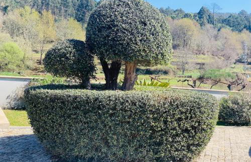 Oliveira's Little House - Foto 58