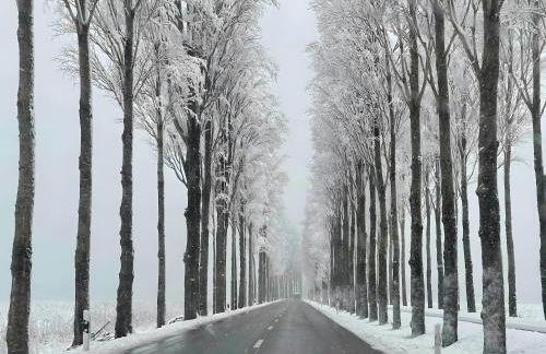 Seezauber direkt am Wasser - Foto 42