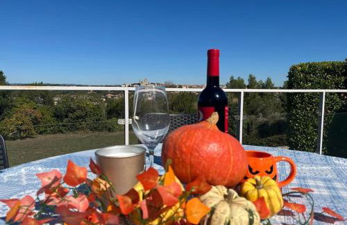 9 Écluses-Canal du midi Logement entier T2 climatisé avec piscine - Photo 18