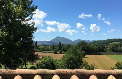 Agricola Caicucci - Foto 13