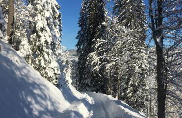 Ferienhaus Rotzinger - Foto 40