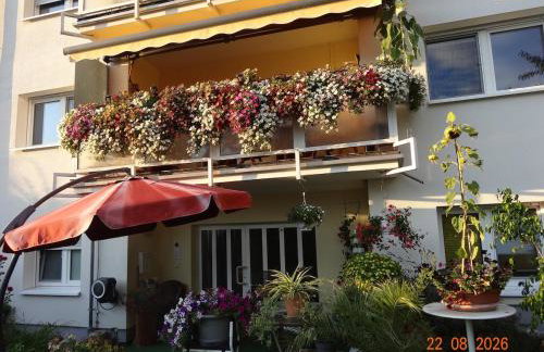 Kleine Einliegerwohnung- komfort Home! - Foto 9