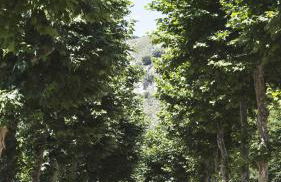 Apartamentos Turísticos Real Valle Ezcaray - Foto 119