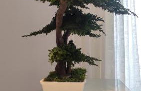 L'Âme Bleue - Photo 36