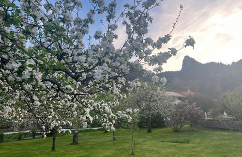 Gästehaus zum Thoma - Foto 14