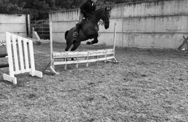 Stewards Granary - Foto 45