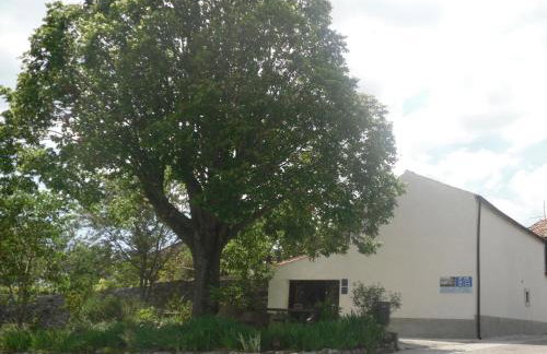 Apartment Pod Lipom - Photo 18