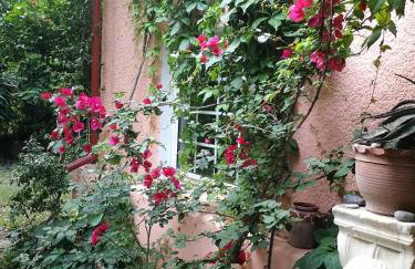 Villa with big garden - Foto 35