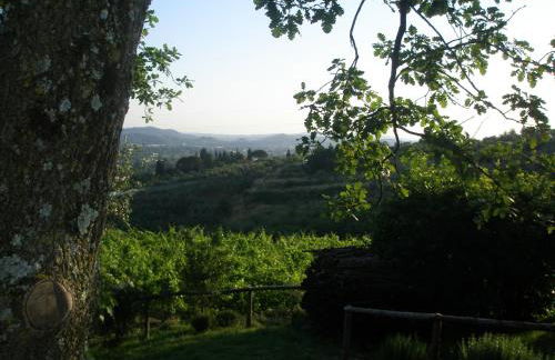 Agriturismo Biologico Poggiopiano - Foto 59