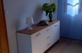 Villa Stare Osieczno - Foto 74