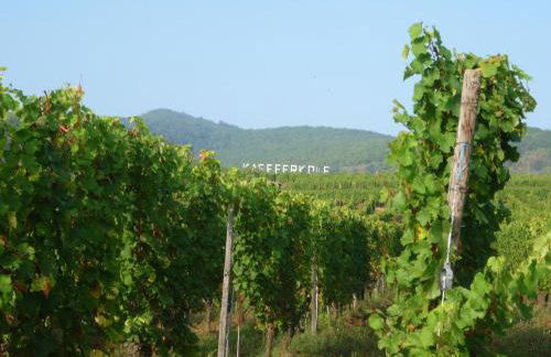 Gite Kaefferkopf - Foto 6