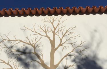 Horta dos Cedros - Foto 52