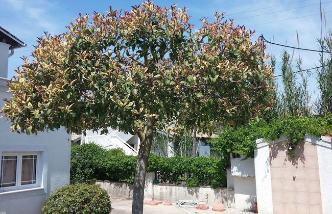 Corfu Anastasia - Foto 14