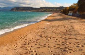 ΚΟΧΥΛΙ - Foto 24