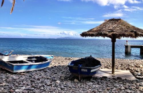 Holidays Plaza - Foto 2