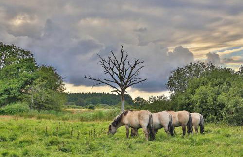 Hof Goosend - Urlaub an der Ostsee & Schlei - Foto 35