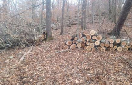 Beech Mountain Walk to Slopes Sleeps 9 Pet Friendly - Foto 7