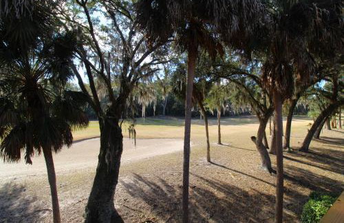 Edisto on my Mind - Foto 25