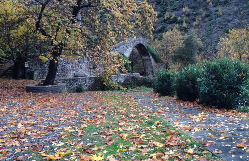 Artemis Apartments - Photo 63