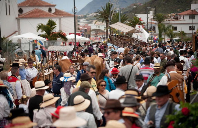 Finca Paraiso Casa Rural Tenerife - Foto 29