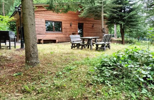 Waldhaus Hempe - Photo 31