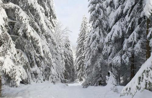 Ferienwohnung Merle in Winterberg-Altastenberg - Photo 8
