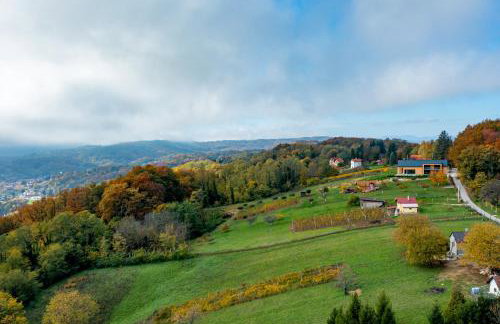 Blacksmith house - SPA, Outdoor pool, Kids zone - Foto 22