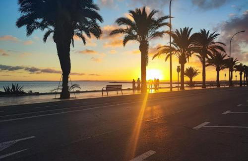 Agata Sea Horse - Foto 26