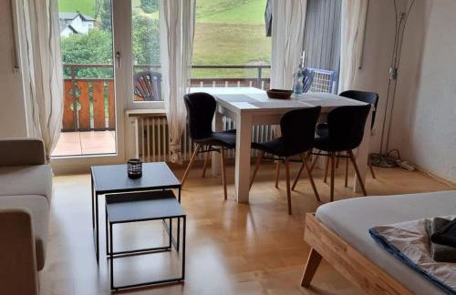 Haus am Sonnenberg, Todtnauberg, Ferienwohnung 204, direkt am Skilift-Skipiste, Nähe Feldberg - Foto 8