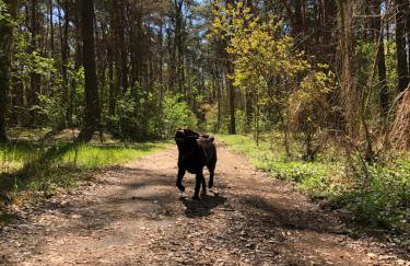 Rudno 48 Domek Letniskowy - Foto 29