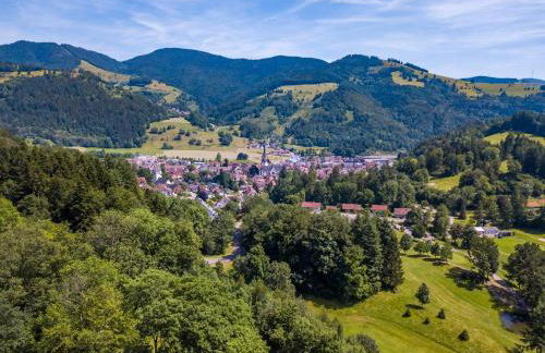 Ferienwohnung Belchenliebe - Foto 16