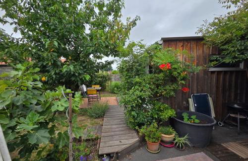 Studio bois avec terrasse et jardin bassin et océan - Foto 13