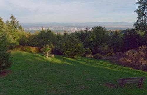 Gîtes Openroc - Vue imprenable sur Colmar - Foto 23