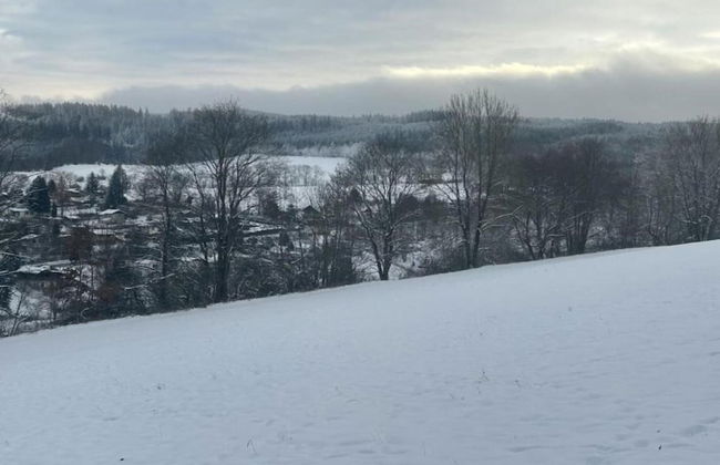 Holiday Home With Private Terrace in Gehren - Foto 33