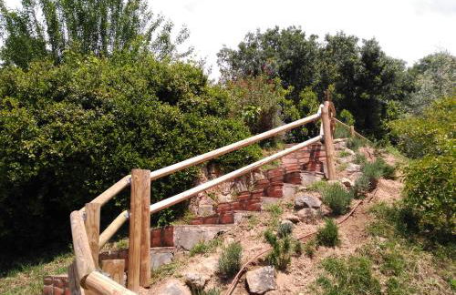 Abejas 1 de El Vergel de Chilla - Foto 33