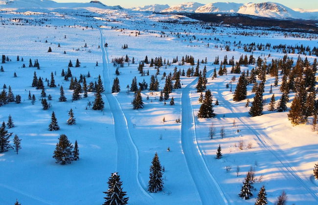 Modern Mountain Cabin - 3 Bedrooms - Sleeps 7 - Foto 39