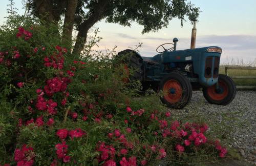 RB Contractor Stays - Celyn - Photo 9