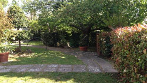 Podere Le Monache - Foto 3, Garden