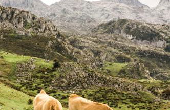 Casa Marian - Foto 82