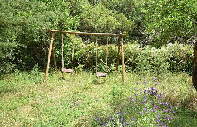 Quiet Cottage in Estate Casas da Cerca near Troviscais - Foto 15