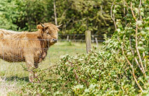 2 Bed in Newburgh oc-g32594 - Foto 31