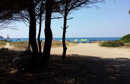 Lacona Casa Franca - Foto 23