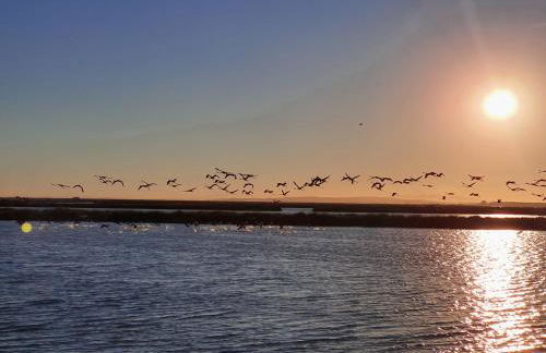 DULCE CARMEN - Photo 52