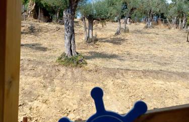 Agriturismo Cisogna - Foto 53