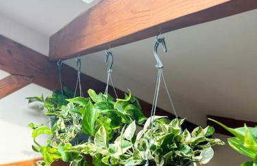 Aplanty Nest amidst the Orchard - Foto 15