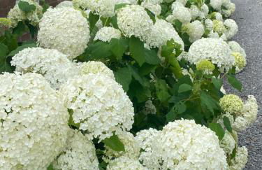 Gut Groß Fedderwarden, Ferienwohnung Emma - Photo 18