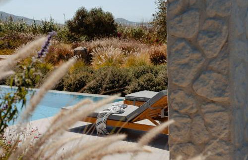 Villa Jardino, plaka Naxos - Foto 36