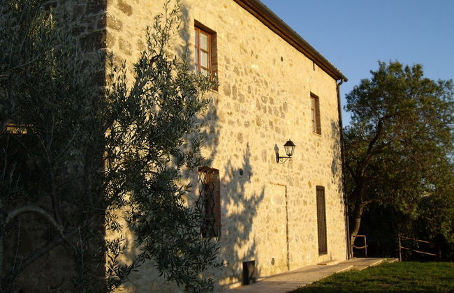 Bellavista farm of Quercini Maurizio - Foto 8