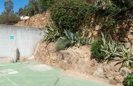 Stella Marina Piano Terra - Foto 17