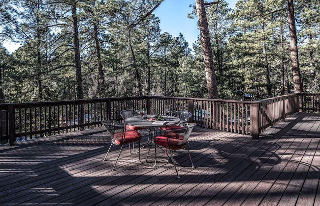 A Climbing Cub - Foto 15